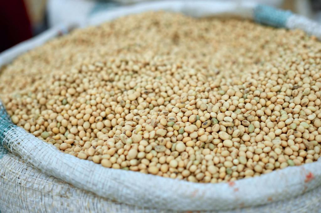 Budget Protein Sources